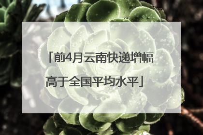 前4月云南快递增幅高于全国平均水平