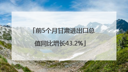 前5个月甘肃进出口总值同比增长43.2%