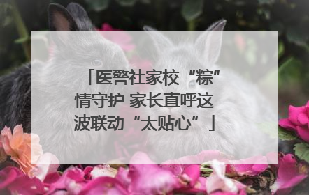 医警社家校“粽”情守护 家长直呼这波联动“太贴心”