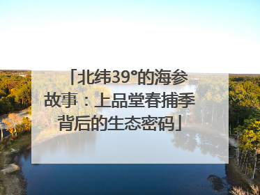 北纬39°的海参故事：上品堂春捕季背后的生态密码