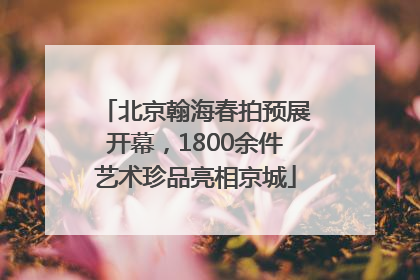 北京翰海春拍预展开幕，1800余件艺术珍品亮相京城