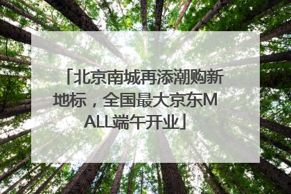 北京南城再添潮购新地标，全国最大京东MALL端午开业