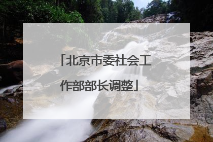 北京市委社会工作部部长调整