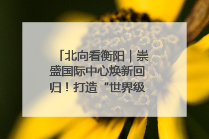 北向看衡阳｜崇盛国际中心焕新回归！打造“世界级美食主题公园”