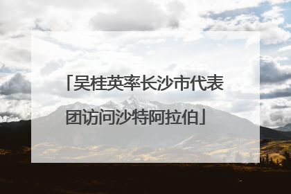 吴桂英率长沙市代表团访问沙特阿拉伯
