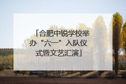 合肥中锐学校举办“六一”入队仪式暨文艺汇演
