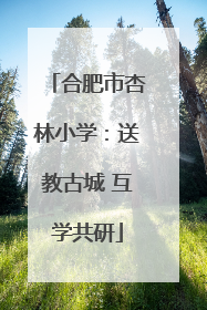 合肥市杏林小学：送教古城 互学共研