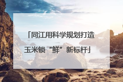 同江用科学规划打造玉米锁“鲜”新标杆