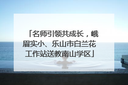 名师引领共成长，峨眉实小、乐山市白兰花工作站送教南山学区