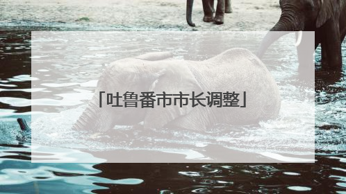 吐鲁番市市长调整