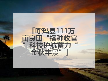 呼玛县111万亩良田“播种收官”科技护航蓄力“金秋丰景”