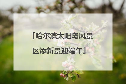 哈尔滨太阳岛风景区添新景迎端午