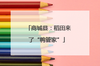 商城县：稻田来了“鸭管家”