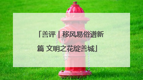 善评｜移风易俗谱新篇 文明之花绽善城