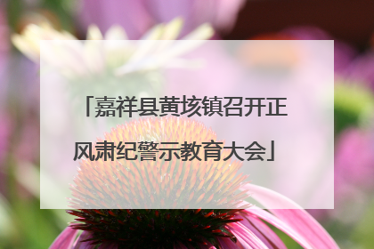 嘉祥县黄垓镇召开正风肃纪警示教育大会