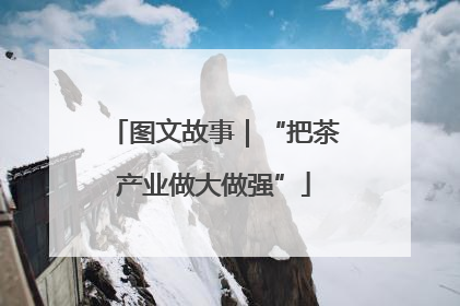 图文故事｜“把茶产业做大做强”
