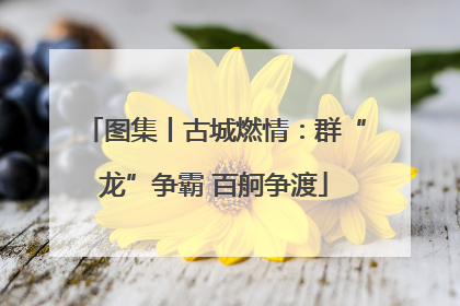 图集丨古城燃情：群“龙”争霸 百舸争渡