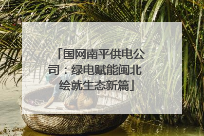 国网南平供电公司：绿电赋能闽北 绘就生态新篇