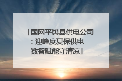 国网平舆县供电公司：迎峰度夏保供电  数智赋能守清凉