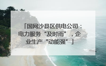 国网沙县区供电公司：电力服务“及时雨”，企业生产“动能强”