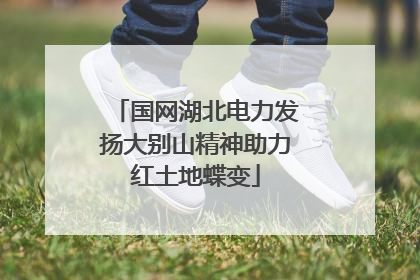 国网湖北电力发扬大别山精神助力红土地蝶变