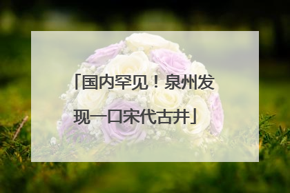国内罕见！泉州发现一口宋代古井