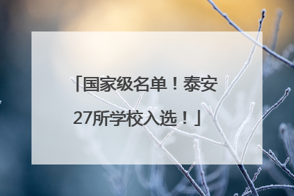 国家级名单！泰安27所学校入选！