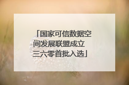 国家可信数据空间发展联盟成立 三六零首批入选