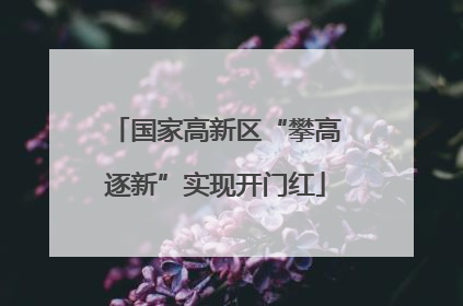 国家高新区“攀高逐新”实现开门红