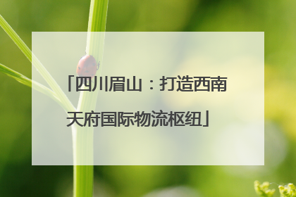 四川眉山：打造西南天府国际物流枢纽