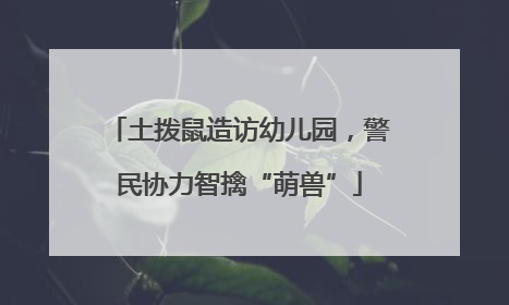 土拨鼠造访幼儿园，警民协力智擒“萌兽”