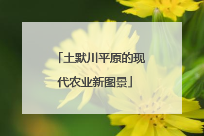 土默川平原的现代农业新图景