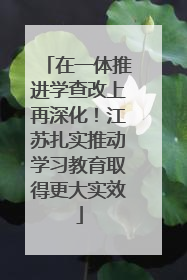 在一体推进学查改上再深化！江苏扎实推动学习教育取得更大实效