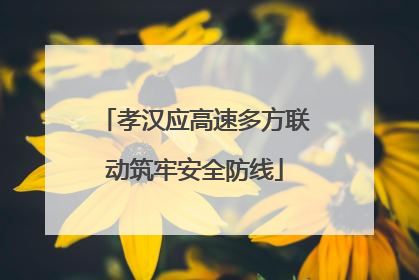 孝汉应高速多方联动筑牢安全防线
