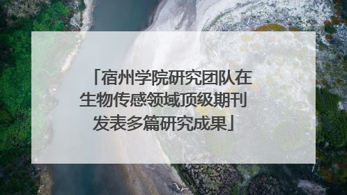 宿州学院研究团队在生物传感领域顶级期刊发表多篇研究成果