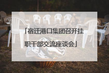宿迁港口集团召开挂职干部交流座谈会