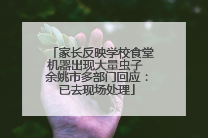 家长反映学校食堂机器出现大量虫子 余姚市多部门回应：已去现场处理