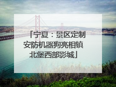 宁夏：景区定制安防机器狗亮相镇北堡西部影城