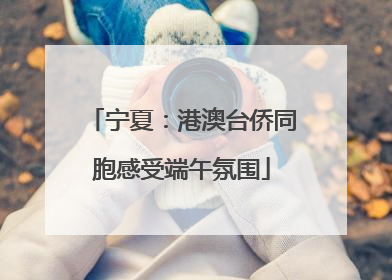 宁夏：港澳台侨同胞感受端午氛围