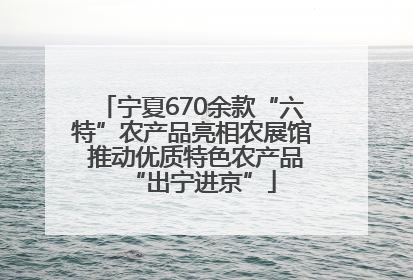 宁夏670余款“六特”农产品亮相农展馆 推动优质特色农产品“出宁进京”