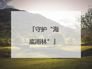守护“海底雨林”