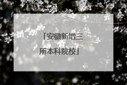 安徽新增三所本科院校