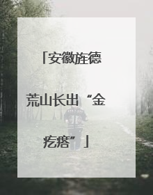 安徽旌德 荒山长出“金疙瘩”