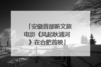 安徽首部新文旅电影《风起秋浦河》在合肥首映