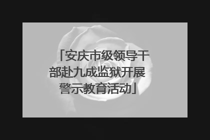 安庆市级领导干部赴九成监狱开展警示教育活动