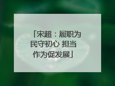 宋超：履职为民守初心 担当作为促发展