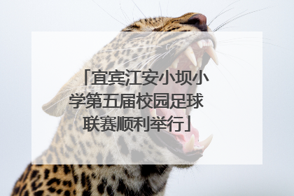 宜宾江安小坝小学第五届校园足球联赛顺利举行