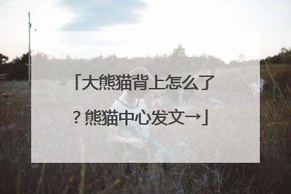 大熊猫背上怎么了？熊猫中心发文→