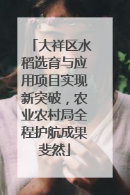 大祥区水稻选育与应用项目实现新突破，农业农村局全程护航成果斐然