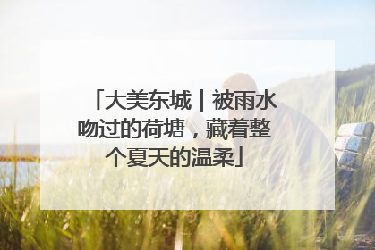 大美东城｜被雨水吻过的荷塘，藏着整个夏天的温柔